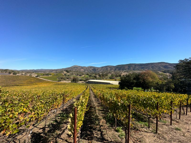 Your Ultimate Guide To Drought-Free Travel In California: 10 Best Places To Explore Right Now - Decor Hint Napa Valley Wine Country