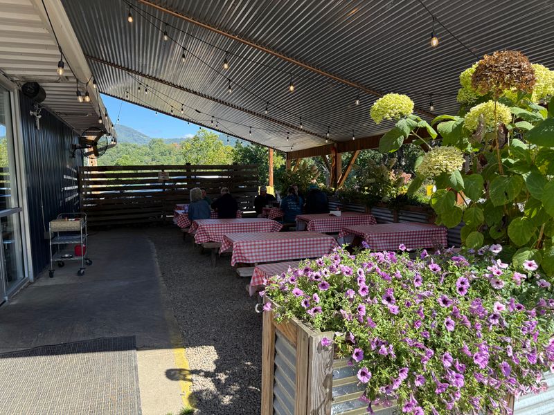 A Pet Friendly Patio That Welcomes All