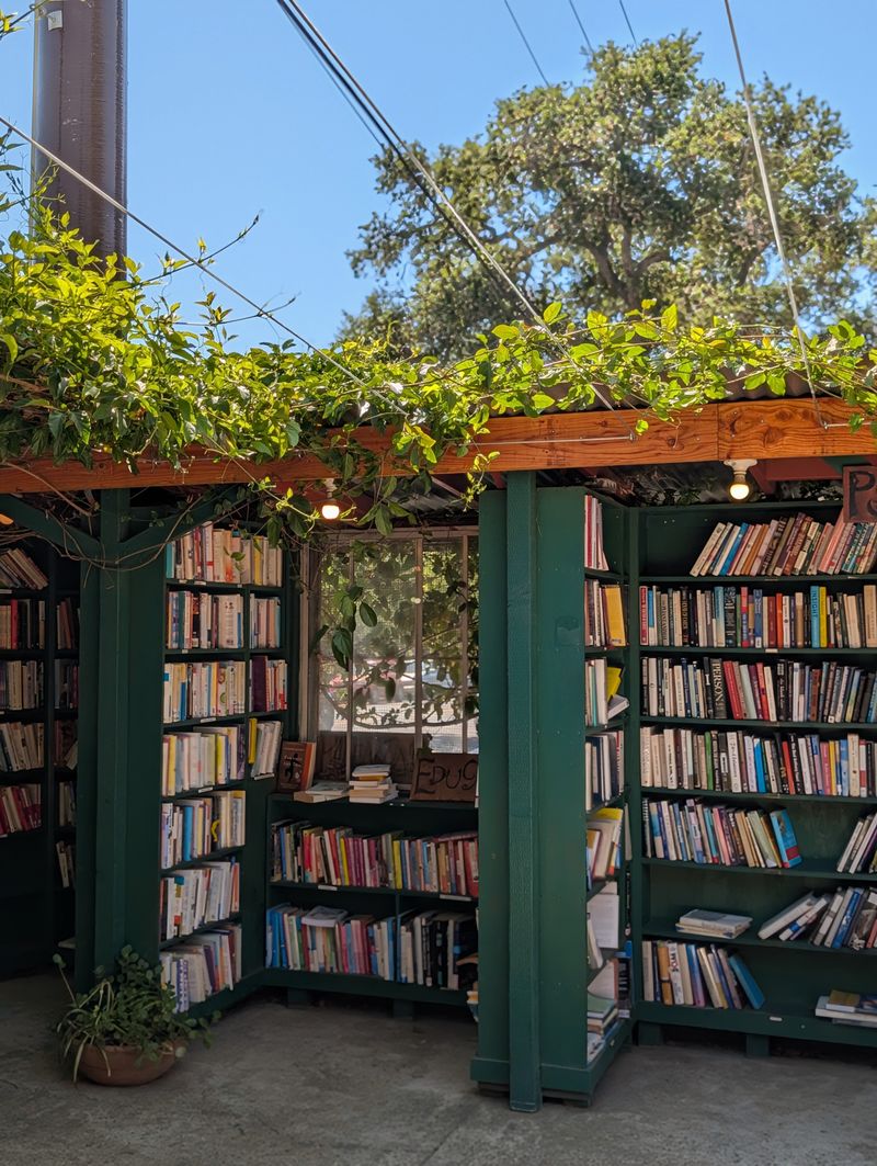 Resident Cats Add Charm And Character