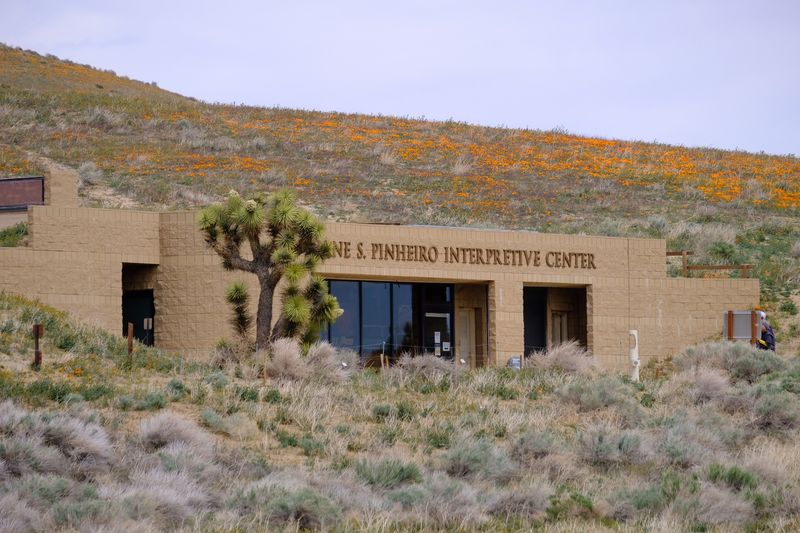 Jane S. Pinheiro Interpretive Center Offers Educational Exhibits