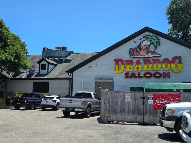 Low-Key Georgia Restaurants That Quietly Serve Incredible Seafood - Decor Hint Dead Dog Saloon