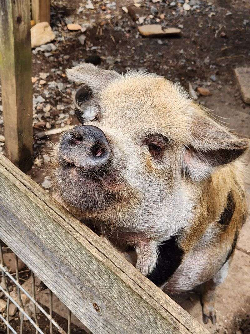 Photography-Friendly Policies