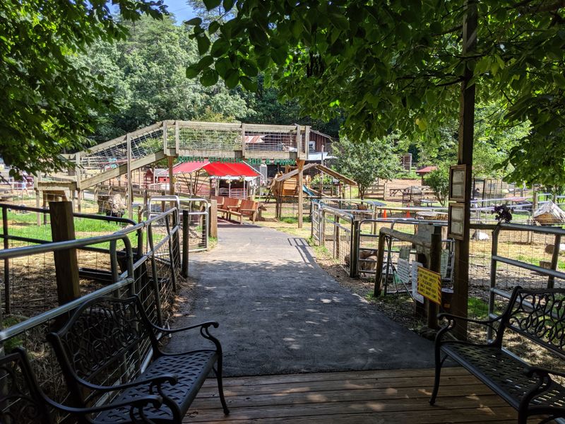 Affordable Pricing For Families