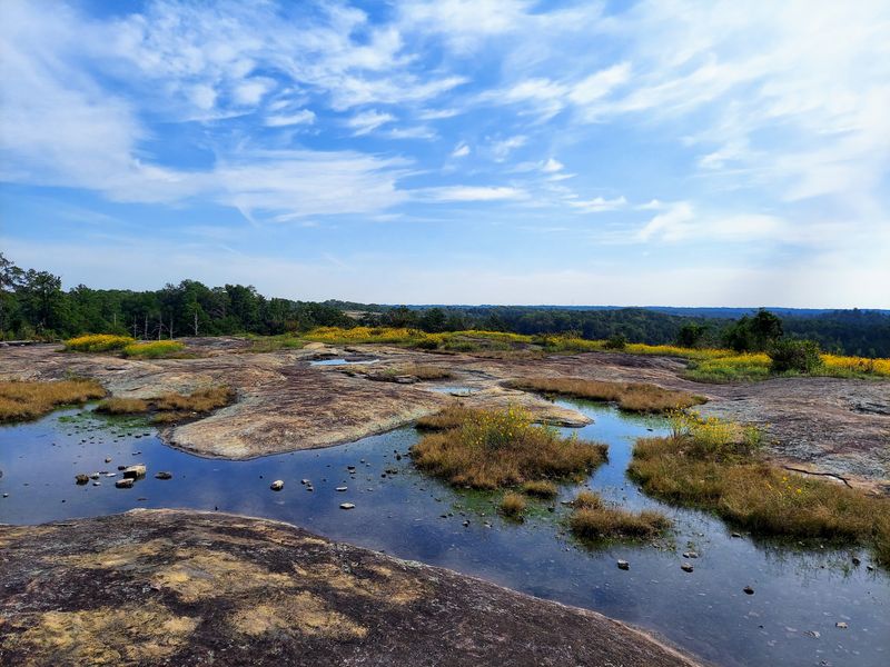 Arabia Mountain