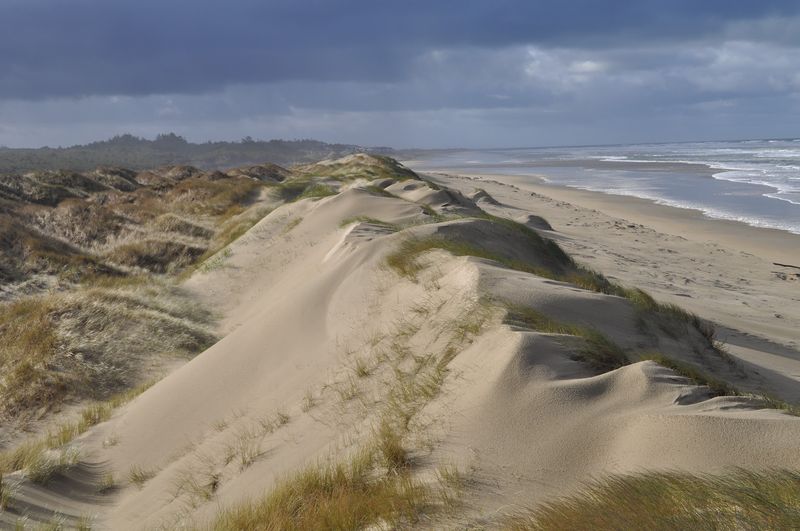 Did Oregon Steal These 10 Landscapes From Another Planet? - Decor Hint Oregon Dunes National Recreation Area