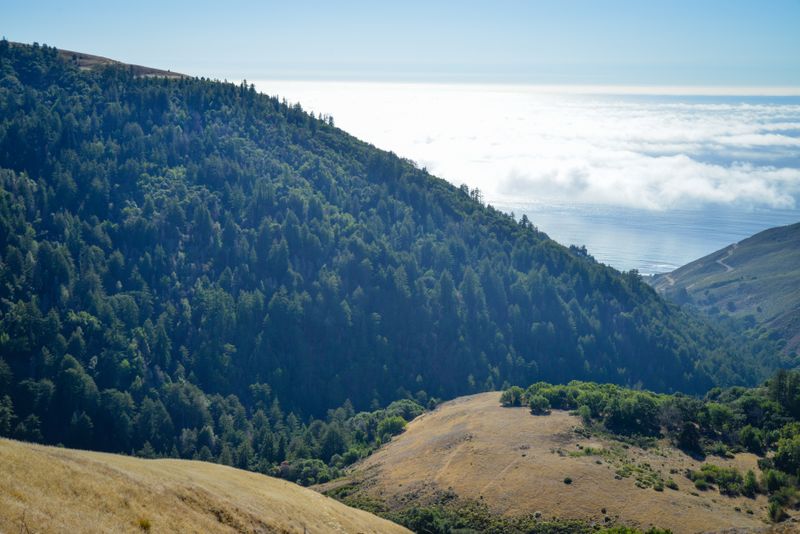 Nacimiento-Fergusson Road