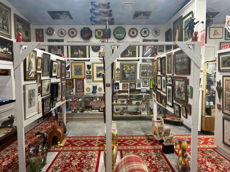 A Surprisingly Charming Cat Museum Is Hiding In North Carolina - Decor Hint TabbyCat Gift Shop Supporting Museum Operations