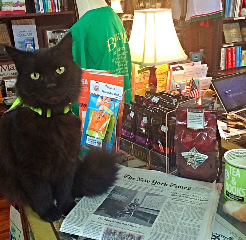 Educational Partnership Programs