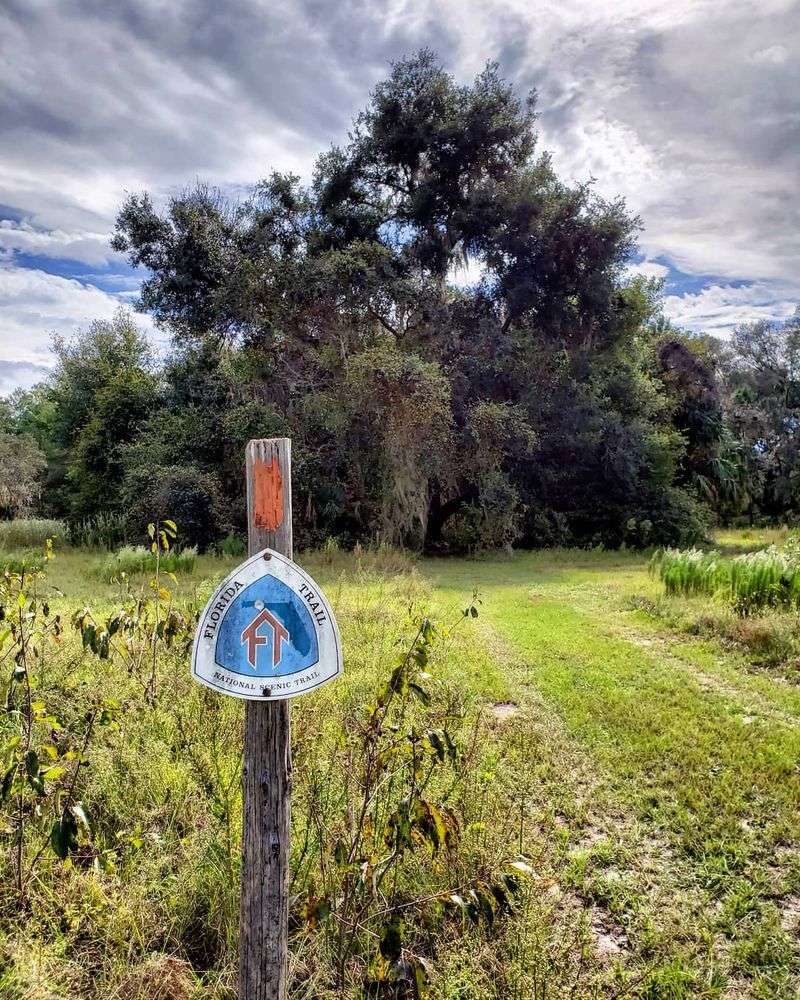 My Go To Park In Georgia For Wildlife Viewing Is Seminole State Park And This Is 15 Reasons Why It's So Special - Decor Hint Active Beaver Engineering Projects