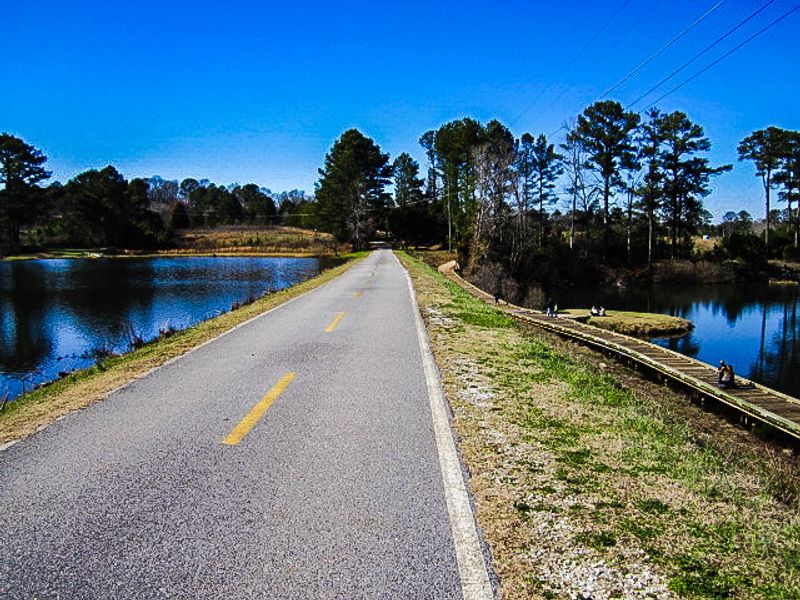 Arabia Mountain Trail