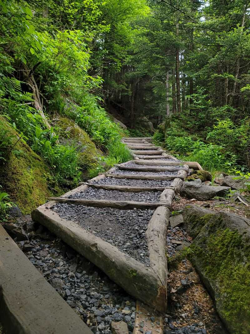 Moderate Difficulty With Elevation Changes