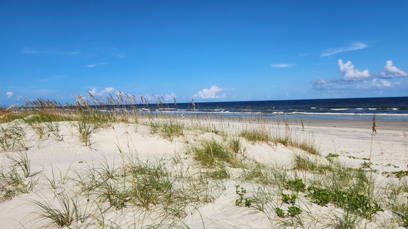 Cumberland Island Beach Views