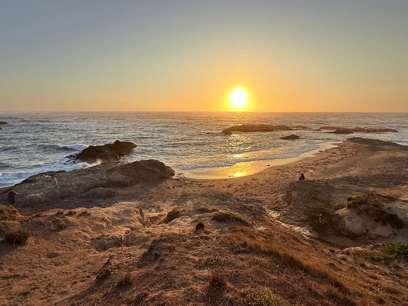 Beachside Seafood Dinner On The Mendocino Coast