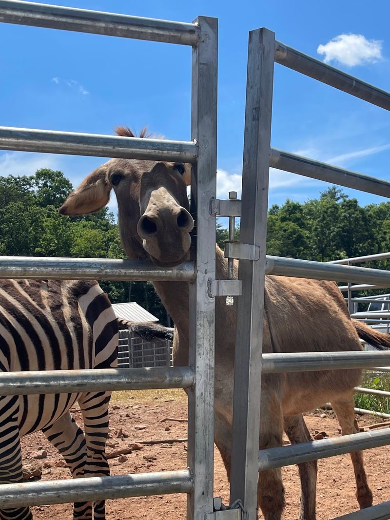 Creates Lasting Family Memories