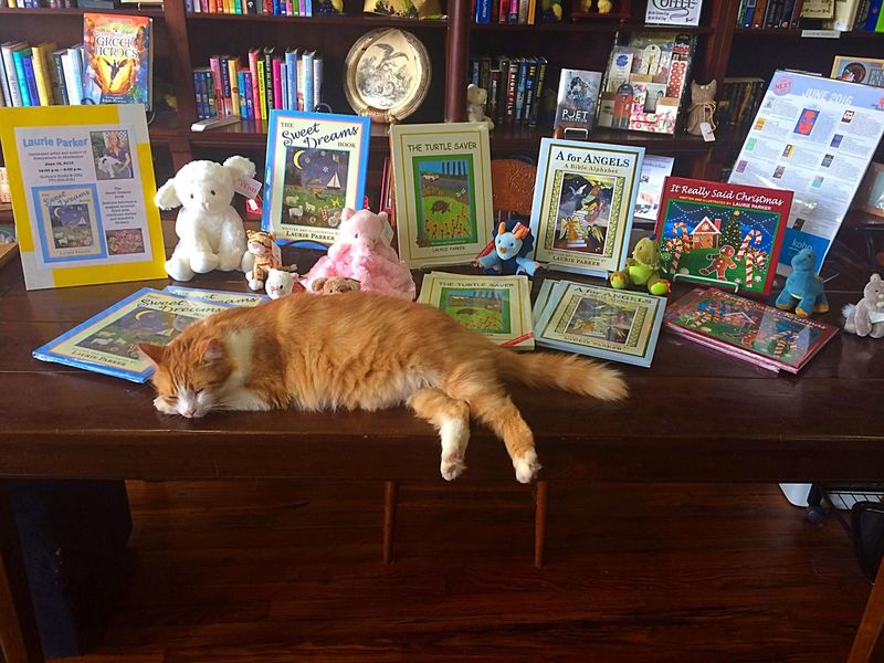 The Children's Section Magic