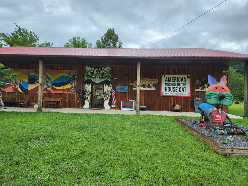A Surprisingly Charming Cat Museum Is Hiding In North Carolina - Decor Hint Affordable Admission With Discounts For Everyone