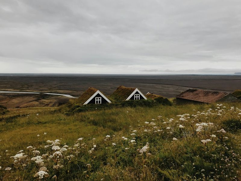 Green Roofing Systems