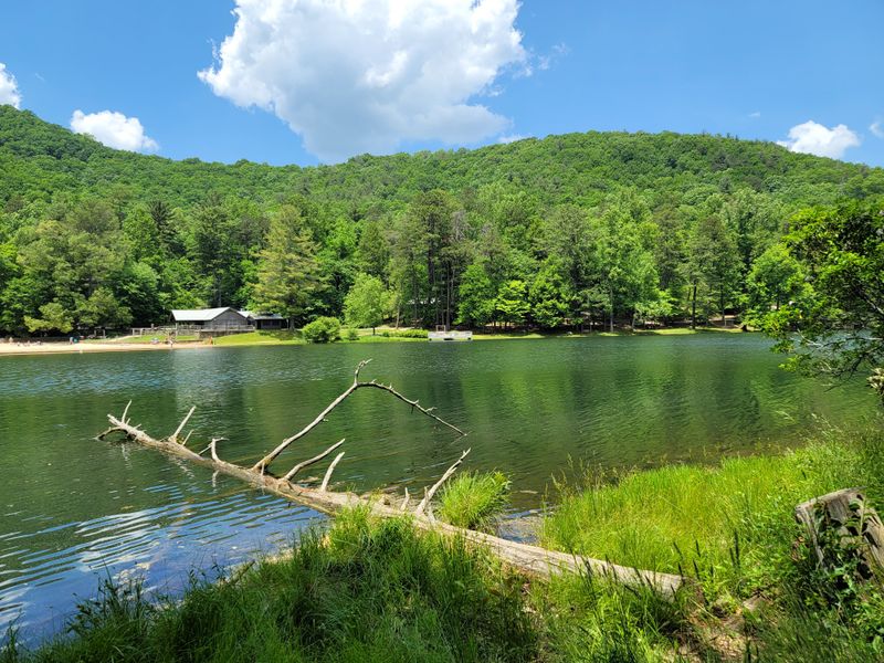 Vogel State Park Bear Hair Gap Trail
