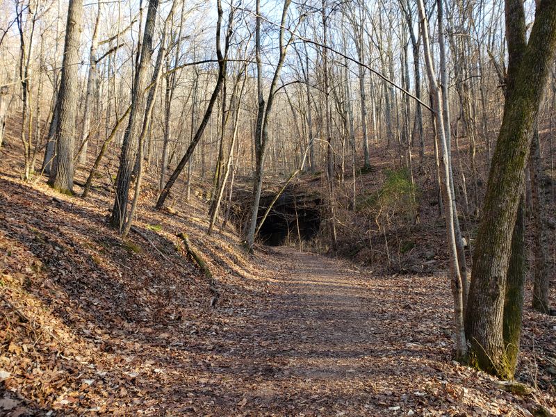 Georgia State Parks That Deliver National Park Scenery Without The Chaos - Decor Hint James H. Floyd State Park