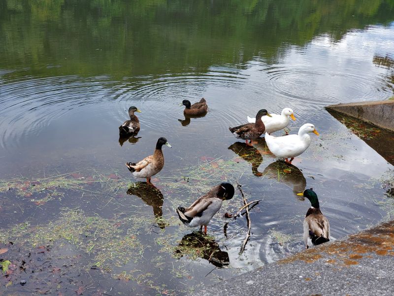 Wildlife Watching Opportunities