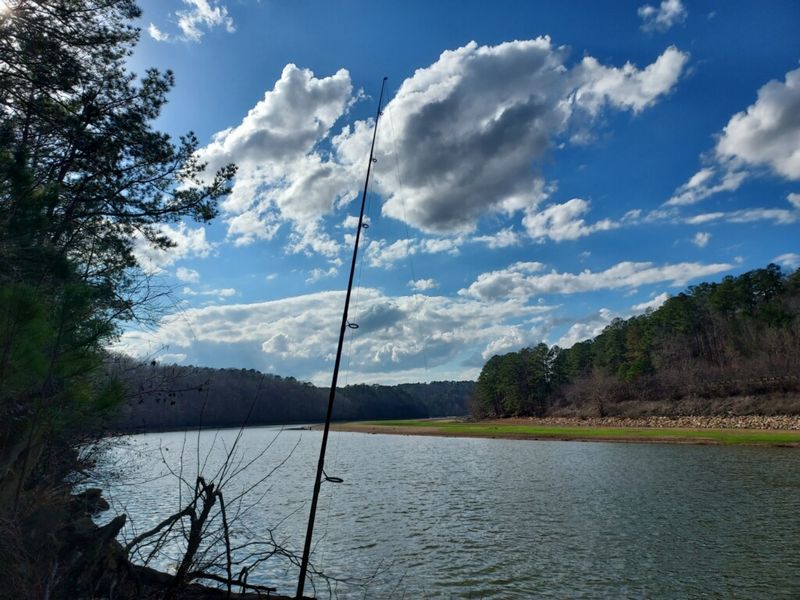 World-Class Fishing Opportunities