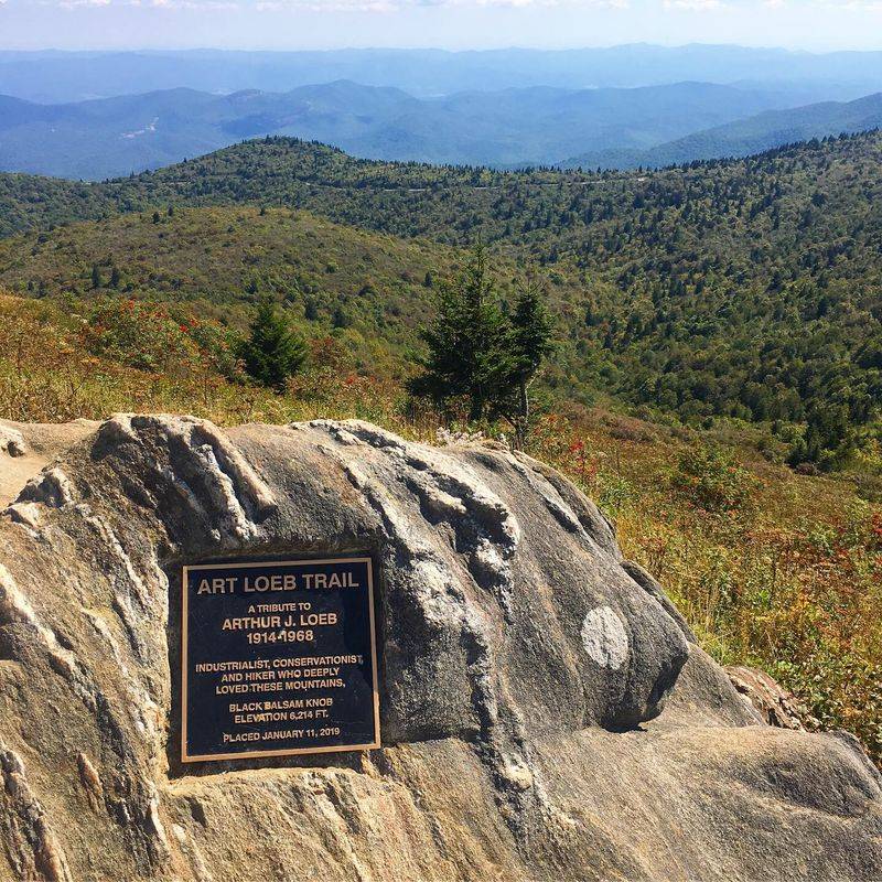 Nearby Black Balsam Extends Adventure