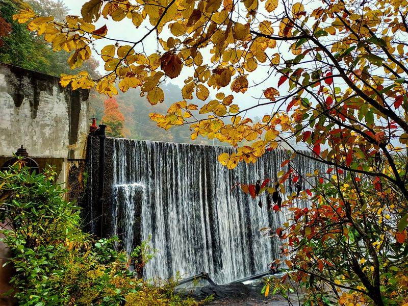 Discover North Carolina's Hidden Waterfall Paradise - Decor Hint Timing Your Perfect Visit