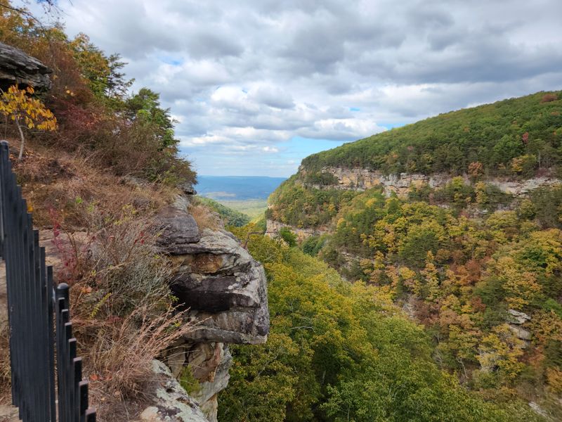 Cloudland Canyon Rim Trail