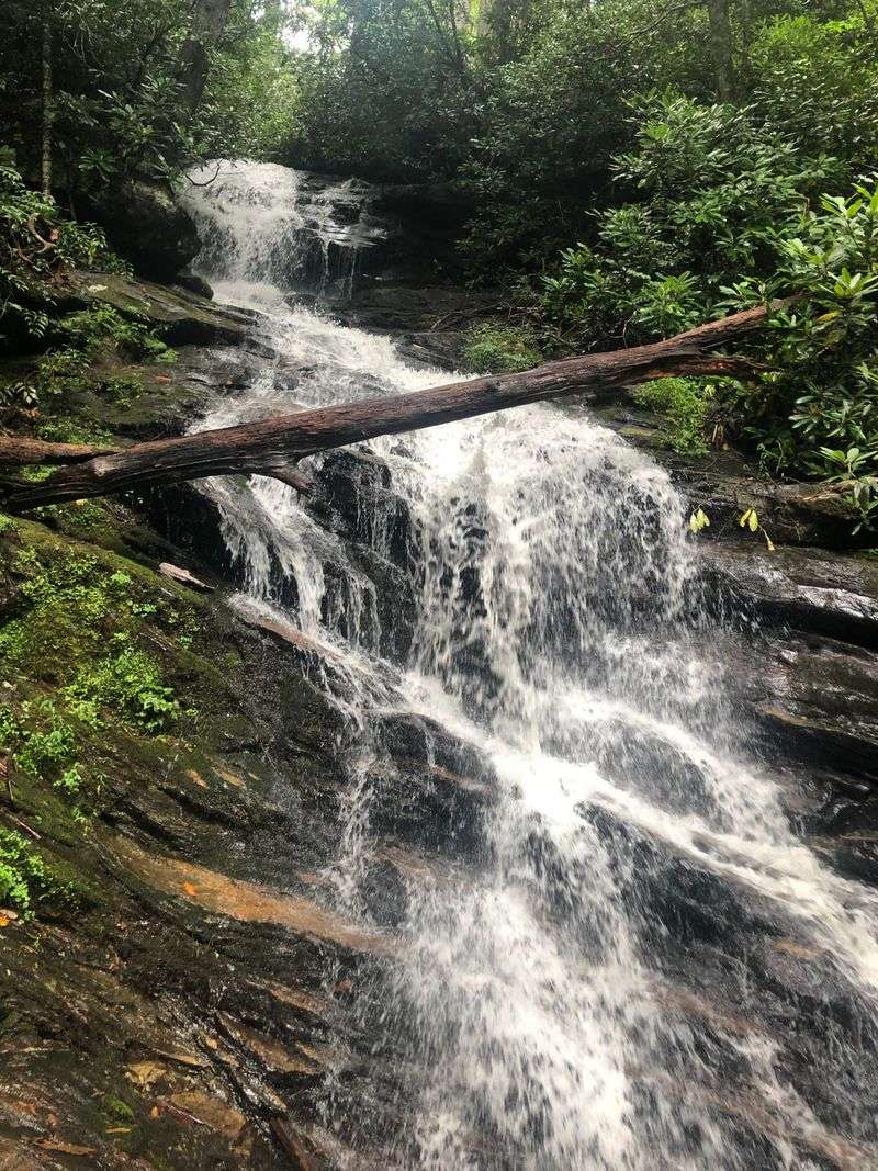 Warwoman Dell Dispersed Sites