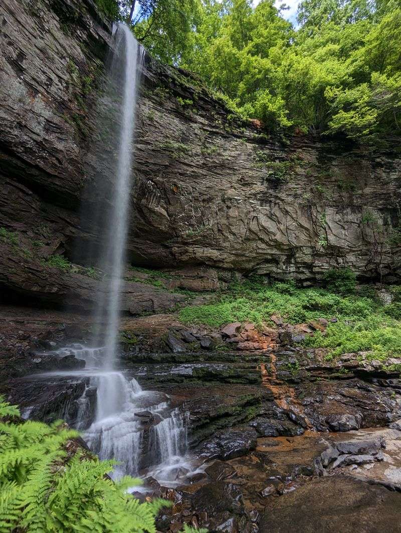 Cloudland Canyon Spring
