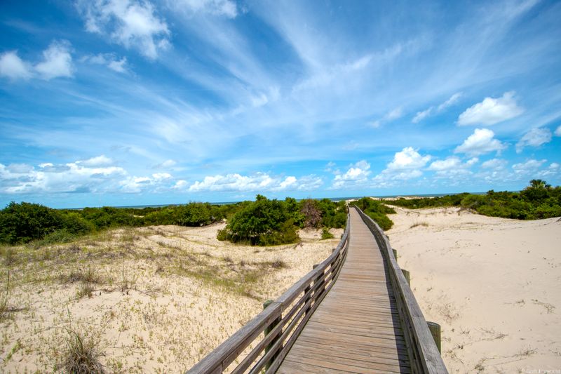 Cumberland Island Beach Camping