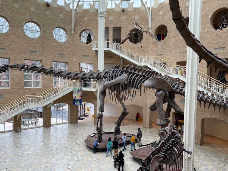 Fernbank Museum of Natural History