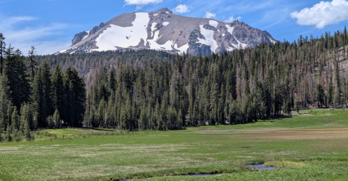 The 10 California Road Trips Id Do Again In A Heartbeat Copy These Routes For 2026 - Decor Hint