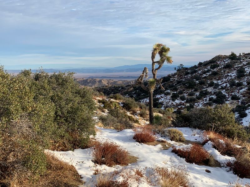 Eureka Peak Offers Panoramic Sierra Views At 7,447 Feet