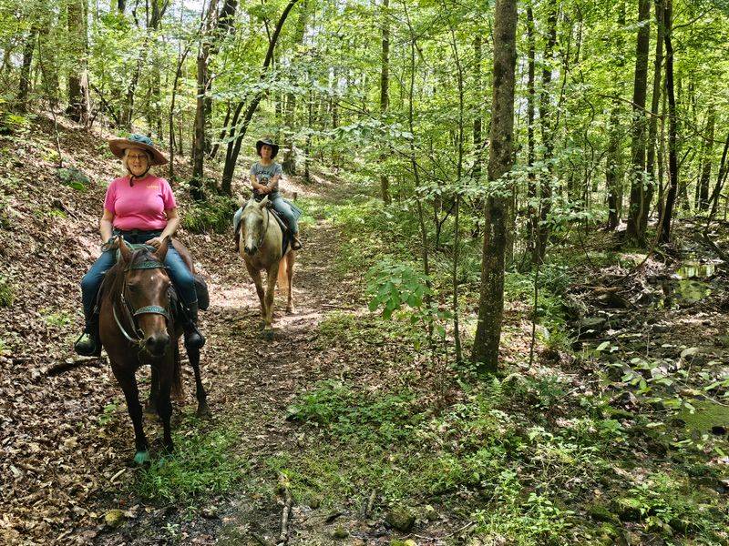 This Stunning College In Georgia Looks Just Like Hogwarts - Decor Hint Over 40 Miles Of Hiking Trails