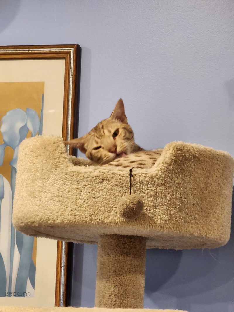 A Perfect Balance of Productivity and Comfort