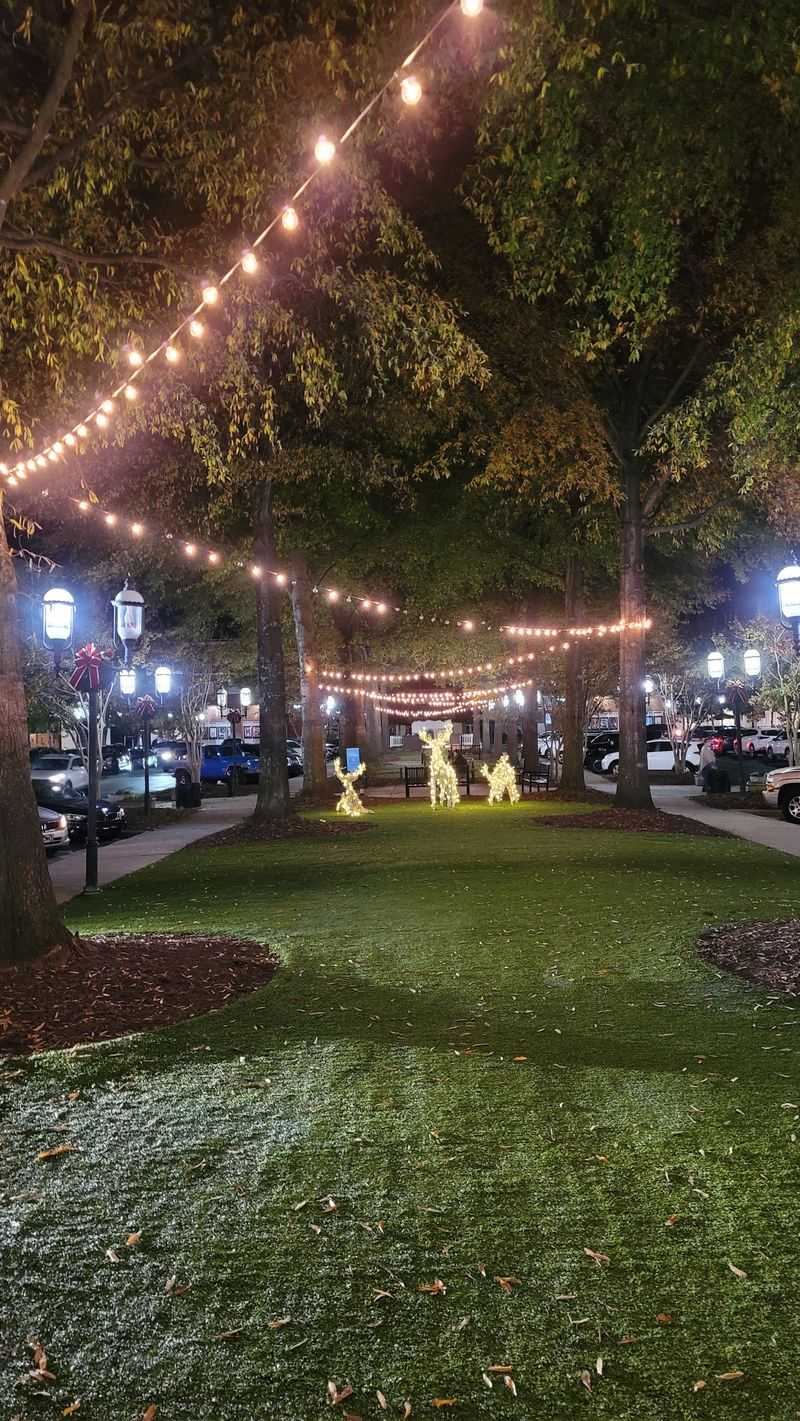 Birkdale Village, Huntersville