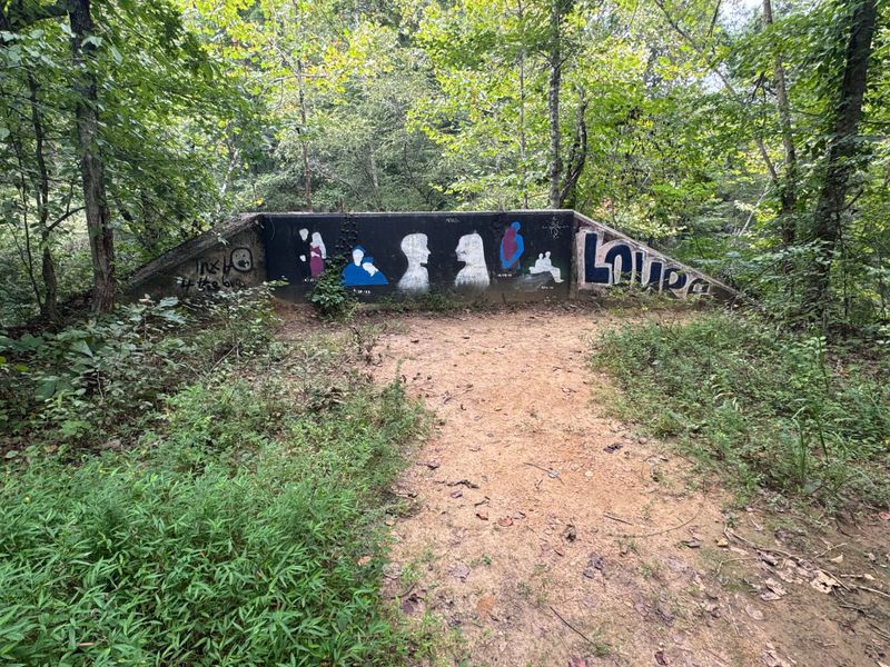 Massive Cleanup Efforts Cost Hundreds of Millions