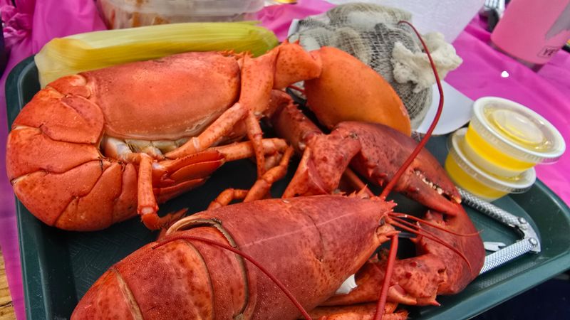 20 Local-Loved New England Seafood Shacks From Massachusetts And Beyond - Decor Hint Muscongus Bay Lobster