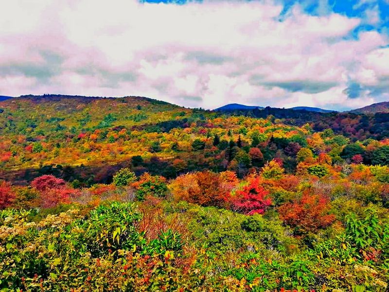 Autumn Colors Create Spectacular Display