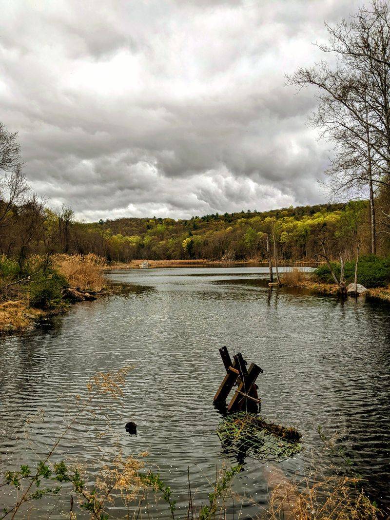 This Hidden North Carolina Trail Takes You To A Lost Ghost Town - Decor Hint Trout Fishing And Angler Opportunities