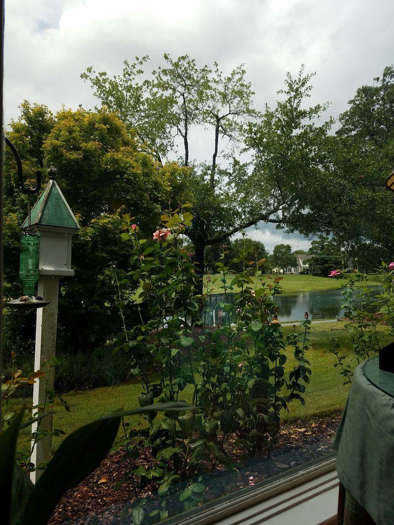 Landfall, Wilmington