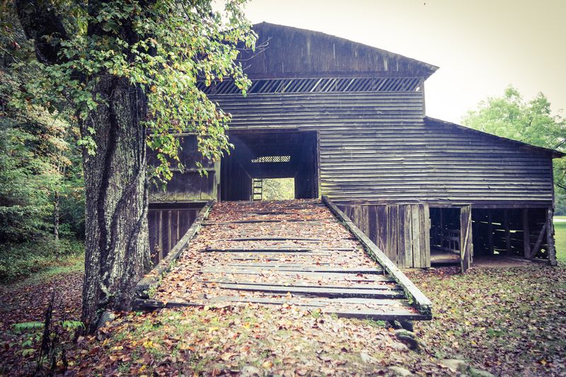 This North Carolina Ghost Town Is A Chilling Step Back In Time - Decor Hint Structures Frozen In Time