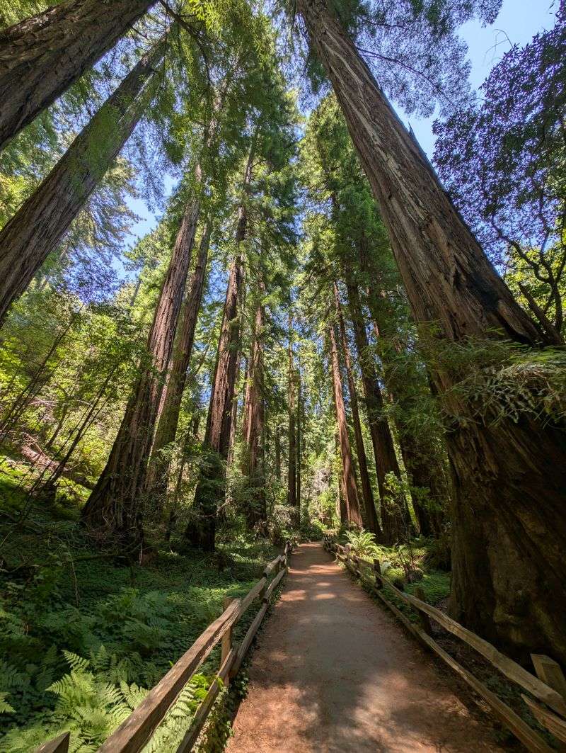 Trail Etiquette And Environmental Protection