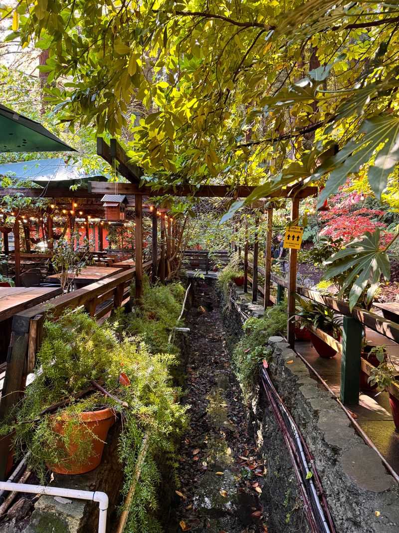 Scientists Say Optical Illusions Are Behind The Magic