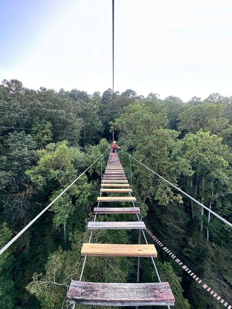 Aerial Adventure Course