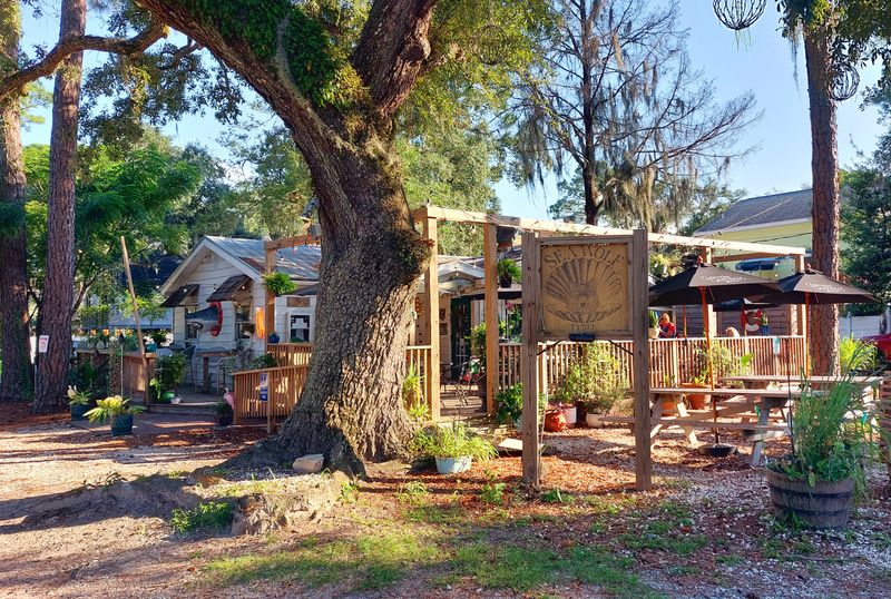 These 14 Georgia Restaurants Are Where Savannah Locals Actually Eat - Decor Hint Sea Wolf