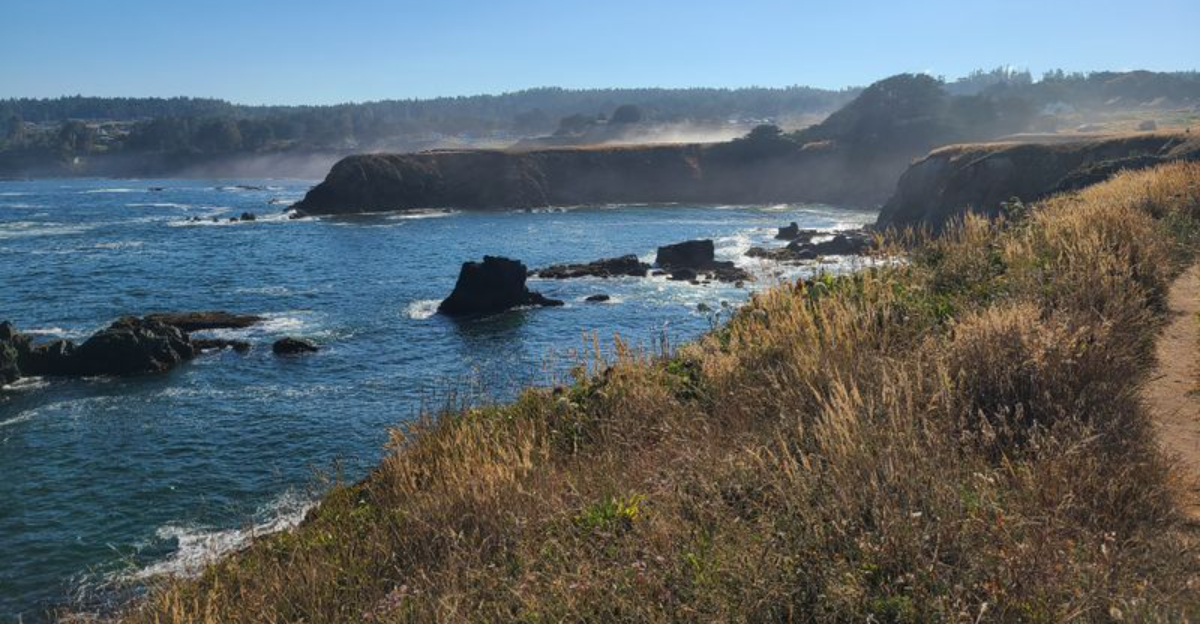 These 16 California Road Trips Are Even More Beautiful During The Rainy Season - Decor Hint