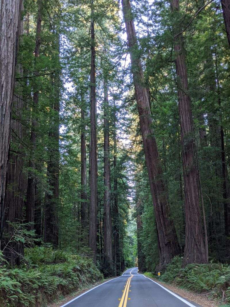 This 31-Mile California Drive Feels Like A Journey Through A Storybook - Decor Hint A Historic Byway With Deep Roots