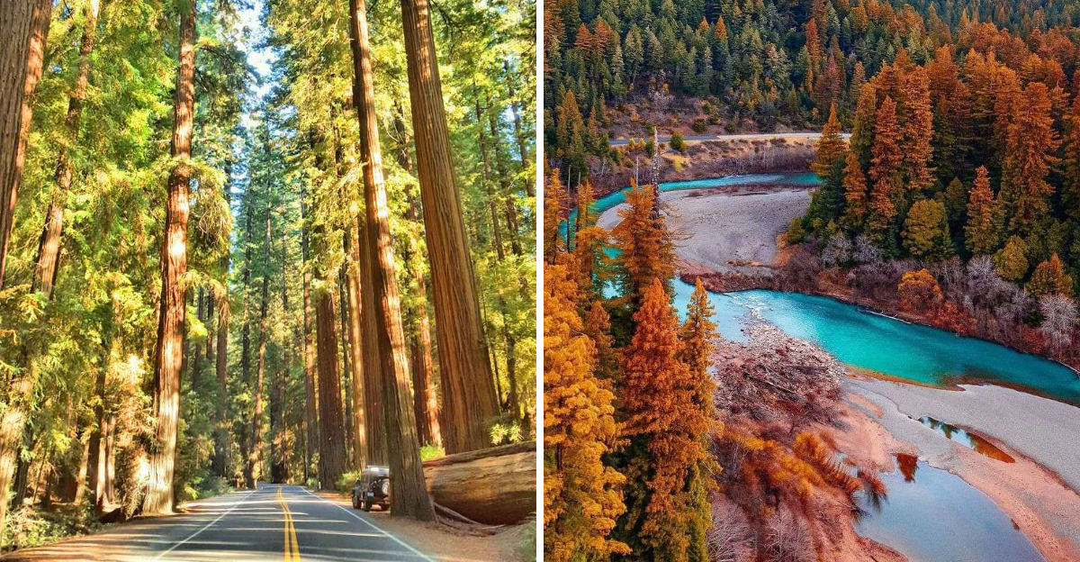 This 31 Mile California Drive Feels Like A Journey Through A Storybook - Decor Hint